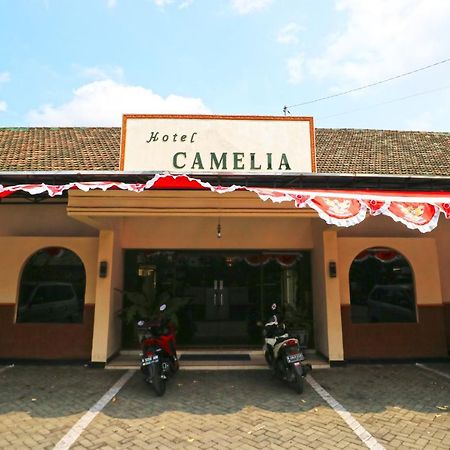 Hotel Camelia Malang Bagian luar foto
