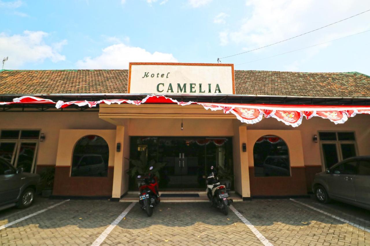 Hotel Camelia Malang Bagian luar foto
